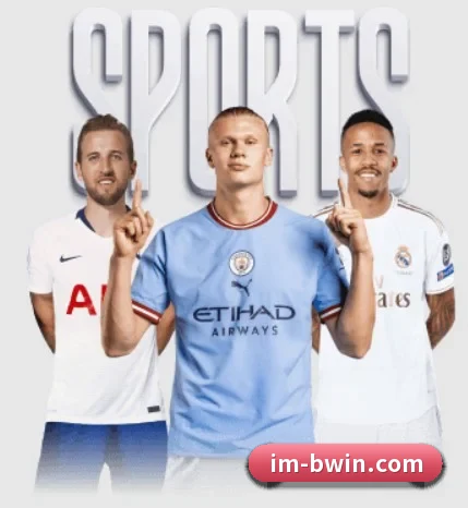 本站五个常用功能入口,赛程查询路径更短(BwinSports)