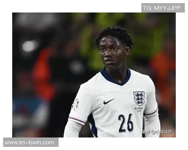 英媒称热刺可能在一月出售布伦南约翰逊伯恩茅斯和水晶宫有意加盟